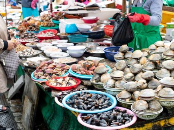 what to eat in busan (6)